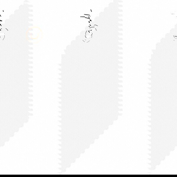 Blank Tag: 5-3/4'' High, White, Synthetic Paper